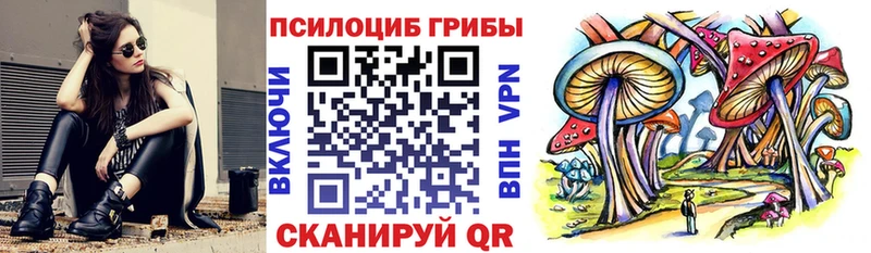 Галлюциногенные грибы Psilocybine cubensis  Купить закладки  Петров Вал 